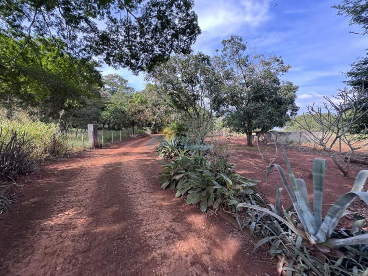 chacara-venda-sitio-marmelada-boa-esperanca-formiga-mg-1023968