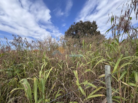 lote-venda-cristo-santa-tereza-formiga-mg-1003044