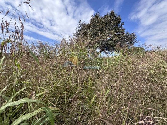 lote-venda-cristo-santa-tereza-formiga-mg-1003045