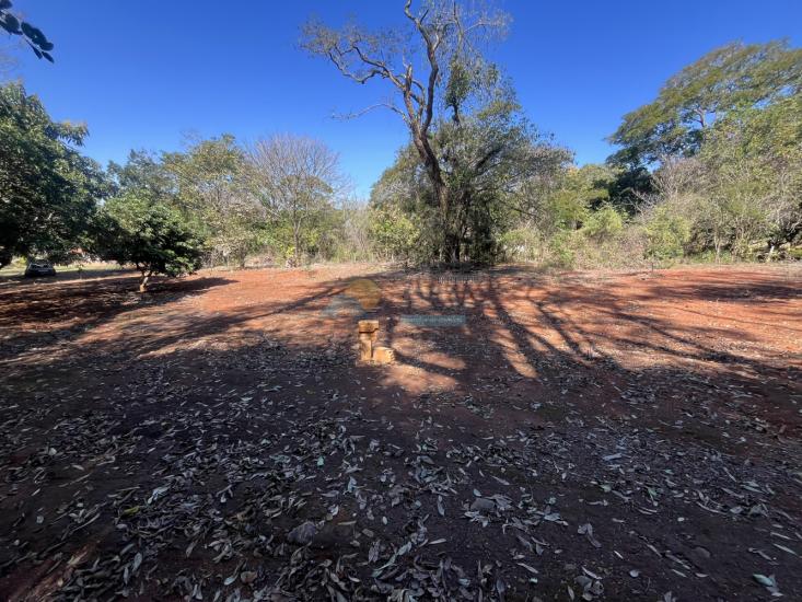 chacara-venda-sitio-marmelada-boa-esperanca-formiga-mg-1026580