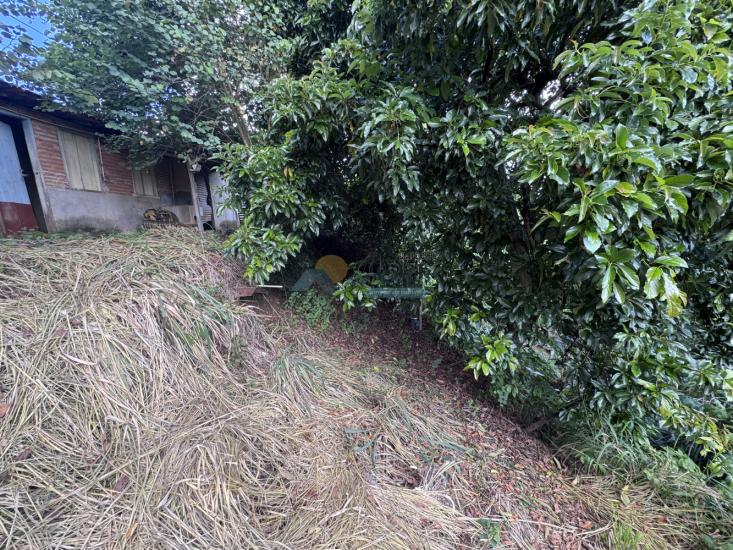 lote-venda-sagrado-coracao-de-jesus-formiga-mg-1016776