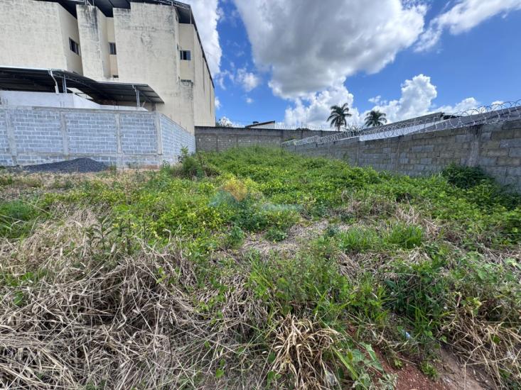 lote-venda-sao-lourenco-agua-vermelha-formiga-mg-1018164