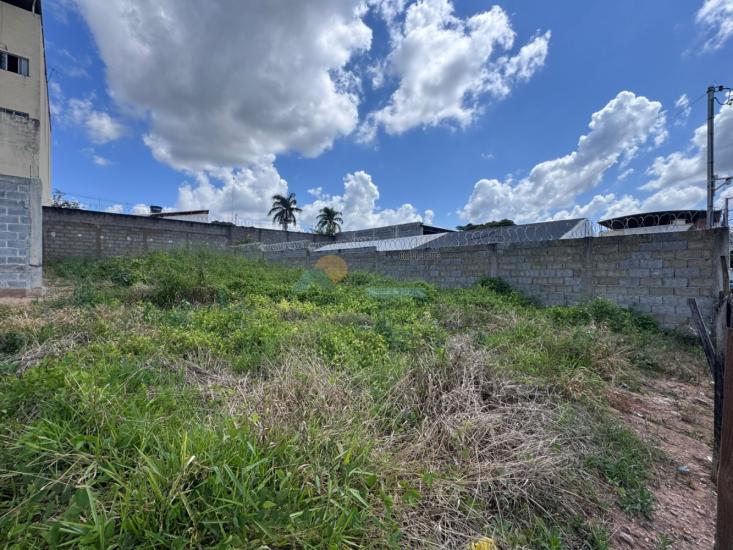 lote-venda-sao-lourenco-agua-vermelha-formiga-mg-1018165