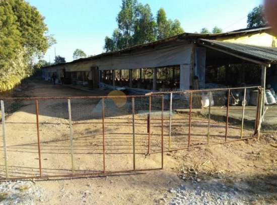 chacara-venda-zona-rural-lambari-formiga-mg-499031