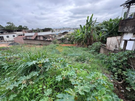 lote-venda-novo-horizonte-formiga-mg-948522