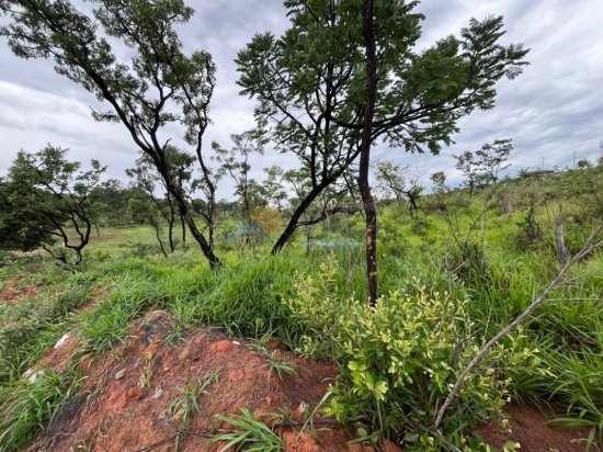 lote-venda-nova-vista-formiga-mg-800209