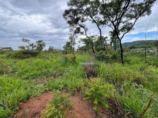 lote-venda-nova-vista-formiga-mg-800213