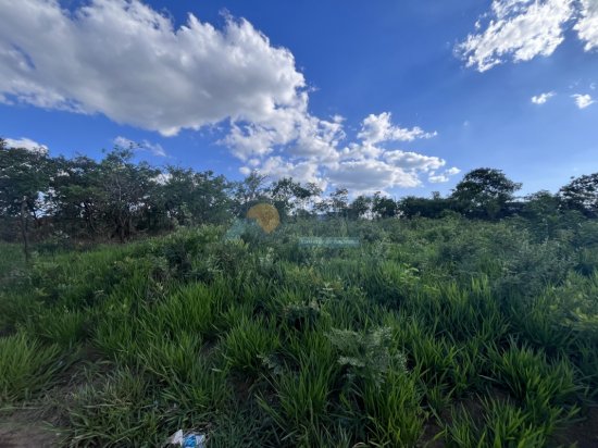 lote-venda-maringa-formiga-mg-787710