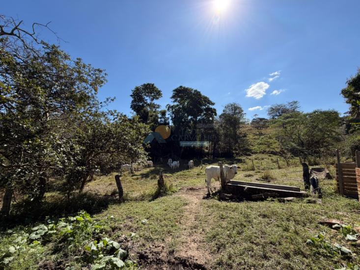 chacara-venda-padre-trindade-chaparral-formiga-mg-1024282