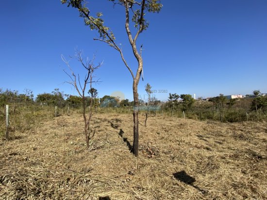 lote-venda-lagoa-formiga-mg-354591