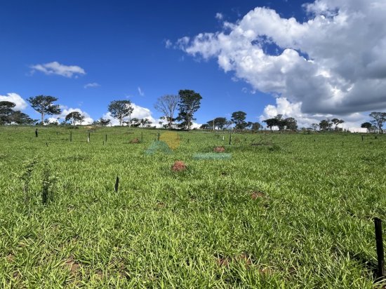 lote-venda-furnas-mar-de-minas-formiga-mg-802214