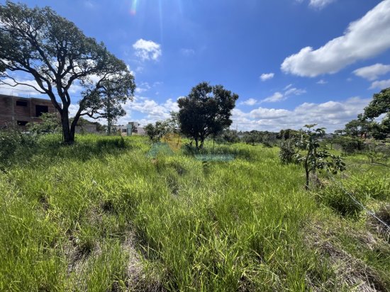 lote-venda-furnas-las-brisas-formiga-mg-802334