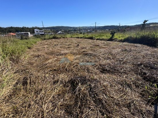 lote-venda-dom-couto-formiga-mg-1001759