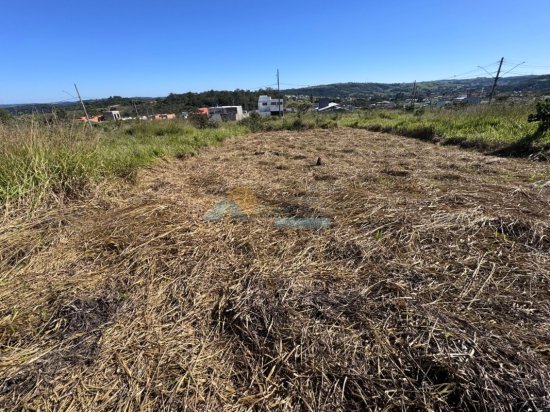 lote-venda-dom-couto-formiga-mg-1001760