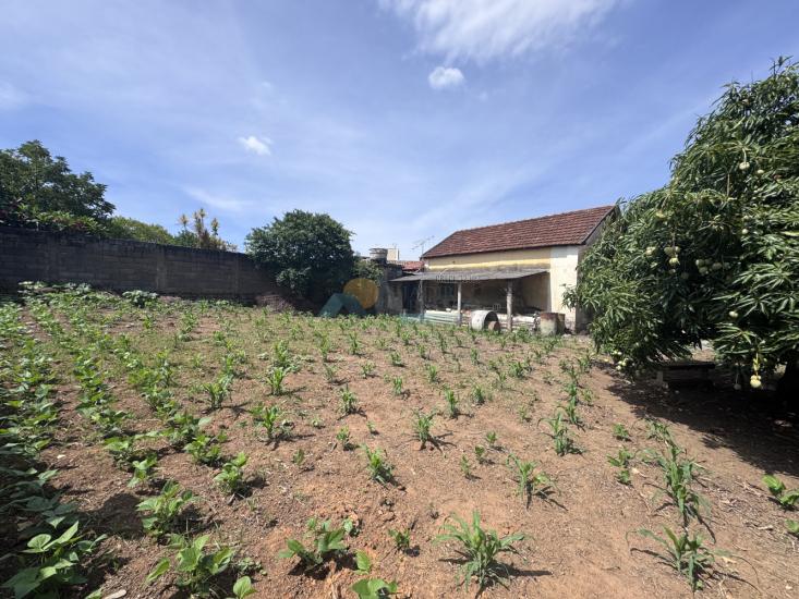 lote-venda-quinzinho-formiga-mg-1013802