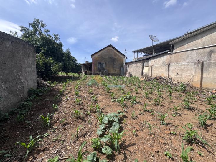 lote-venda-quinzinho-formiga-mg-1013805