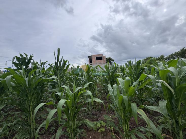 lote-venda-santa-tereza-cristo-formiga-mg-1015120