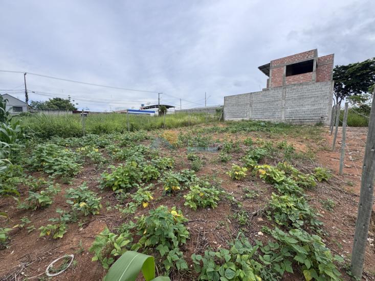 lote-venda-santa-tereza-cristo-formiga-mg-1015122