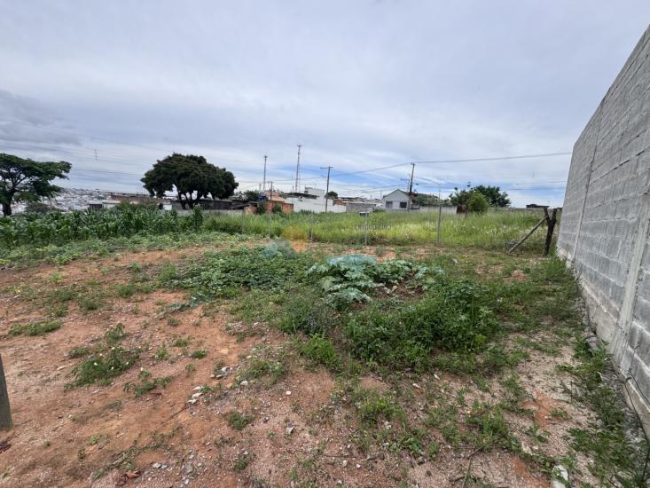 lote-venda-santa-tereza-cristo-formiga-mg-1015123