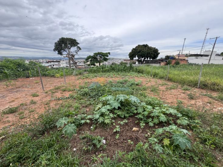 lote-venda-santa-tereza-cristo-formiga-mg-1015124
