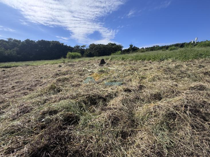 lote-venda-jardim-california-formiga-mg-1017499