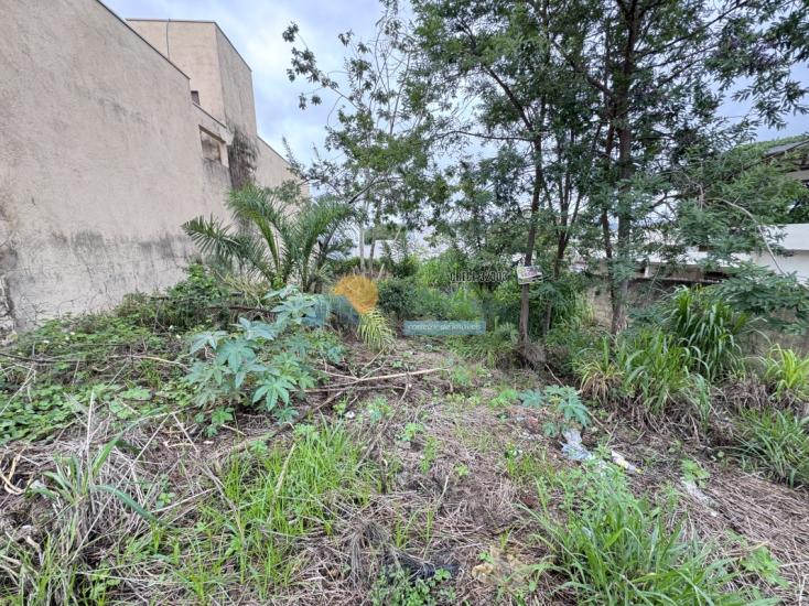 lote-venda-santa-luzia-formiga-mg-1021129