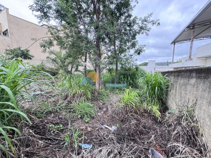 lote-venda-santa-luzia-formiga-mg-1021131