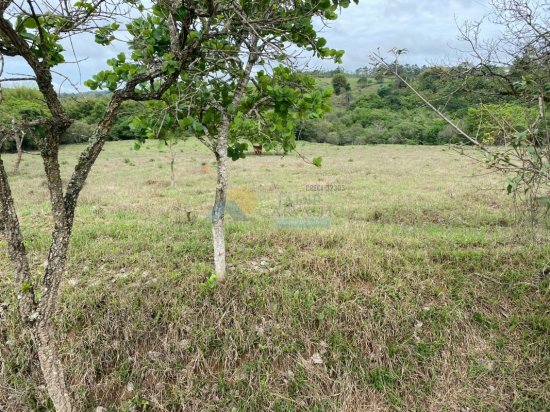 lote-venda-sitio-do-quilombo-maringa-frente-mg050-formiga-mg-410933