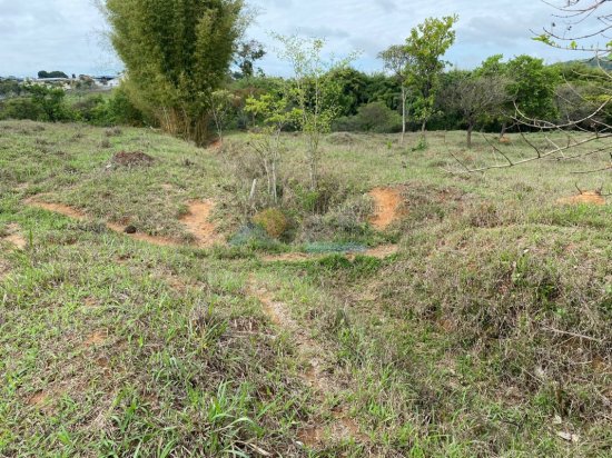 lote-venda-sitio-do-quilombo-maringa-frente-mg050-formiga-mg-410935