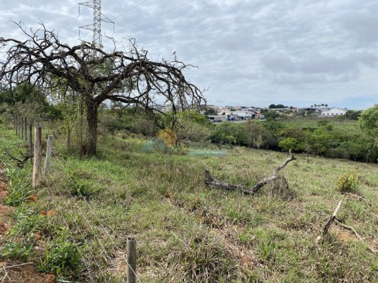 lote-venda-sitio-do-quilombo-maringa-frente-mg050-formiga-mg-410924