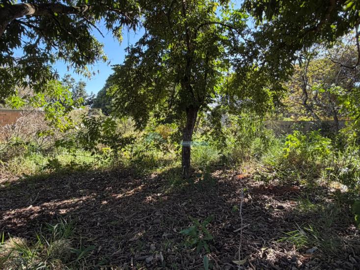 lote-venda-furnas-edentur-formiga-mg-1025899