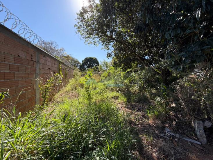 lote-venda-furnas-edentur-formiga-mg-1025900