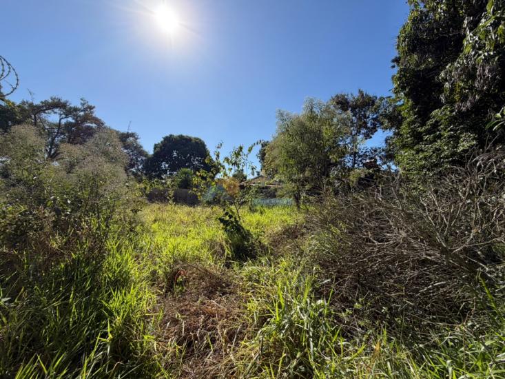 lote-venda-furnas-edentur-formiga-mg-1025901