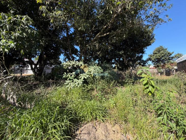 lote-venda-furnas-edentur-formiga-mg-1025902