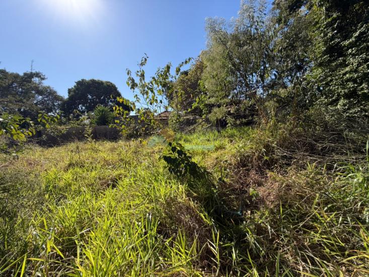 lote-venda-furnas-edentur-formiga-mg-1025903