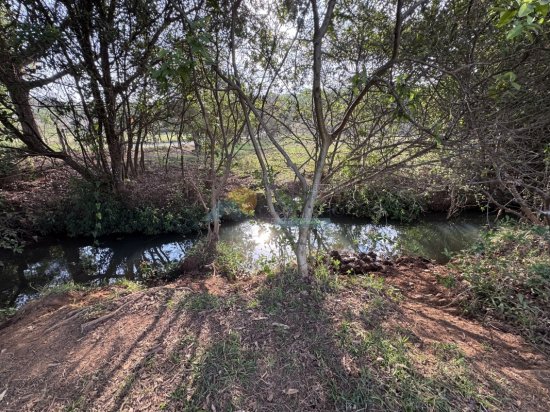 chacara-venda-corrego-fundo-de-baixo-mg-940336