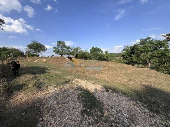 chacara-venda-corrego-fundo-de-baixo-mg-940337