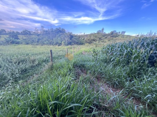 chacara-venda-zona-rural-papagaio-formiga-mg-839134