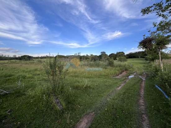 chacara-venda-zona-rural-papagaio-formiga-mg-839145