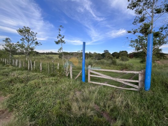 chacara-venda-zona-rural-papagaio-formiga-mg-839146