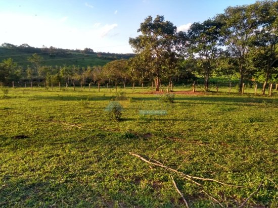 chacara-venda-zona-rural-papagaio-formiga-mg-839148