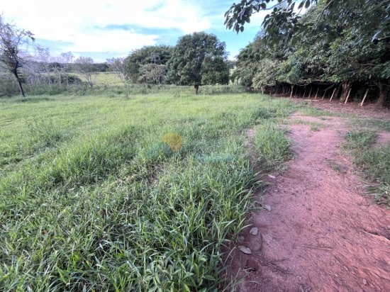 chacara-venda-zona-rural-papagaio-formiga-mg-839138