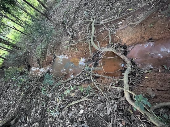 chacara-venda-zona-rural-papagaio-formiga-mg-839141