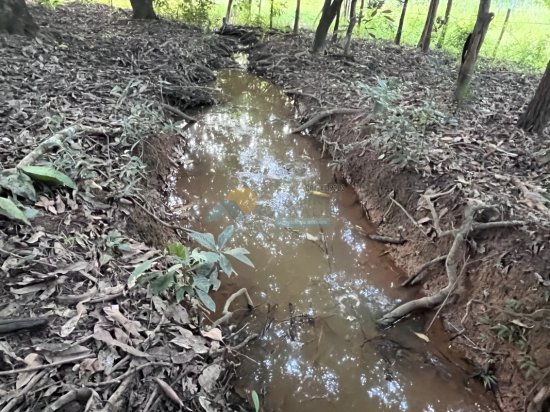 chacara-venda-zona-rural-papagaio-formiga-mg-839142