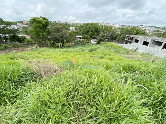 lote-venda-planalto-formiga-mg-426797