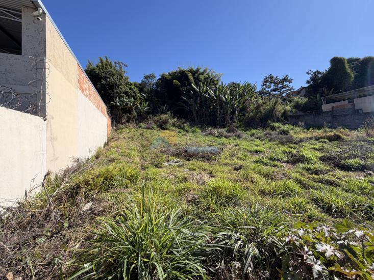 lote-venda-vista-alegre-formiga-mg-1025985