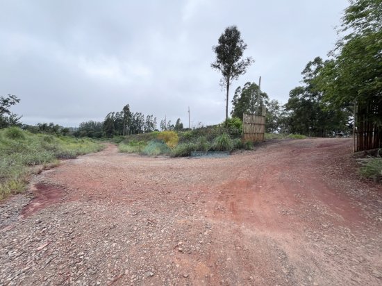 lote-venda-fazenda-vista-alegre-frente-br-354-formiga-mg-906010