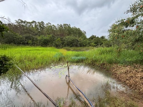 chacara-venda-albertos-formiga-mg-1006318