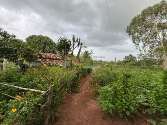 chacara-venda-albertos-formiga-mg-1006327