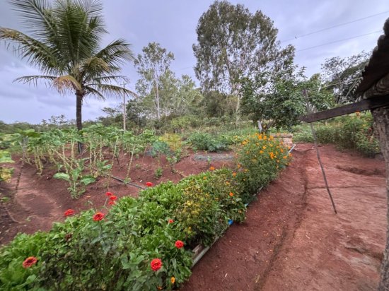 chacara-venda-albertos-formiga-mg-1006329